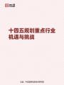 《十四五規劃重點行業機遇與挑戰》